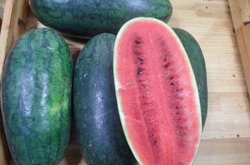 黑瓜吃料网张津渝788,张津渝788背后的故事与影响