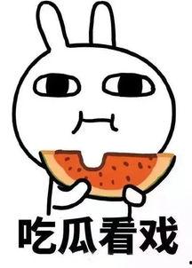 吃瓜太郎官网,探寻美食与娱乐的跨界传奇