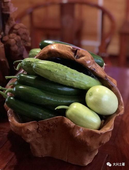 吃瓜网红名单,盘点那些吃瓜群众的“瓜王”名单