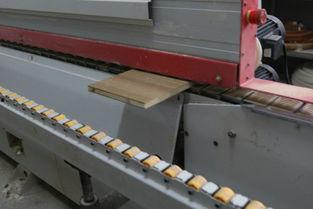 吃瓜网红加工厂,幕后故事与娱乐产业真相