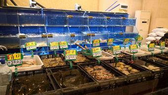 吃瓜网红加工厂,幕后故事与娱乐产业真相