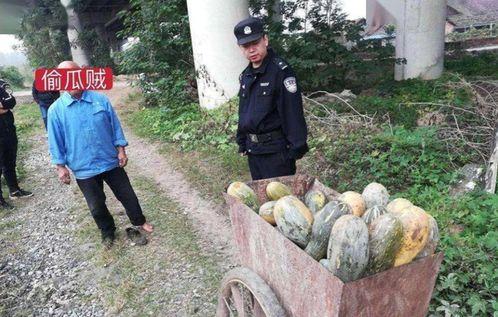 景区吃瓜网红事件视频,一场网络狂欢背后的争议与反思