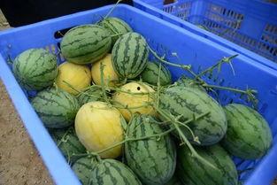 湘潭网红吃瓜群微信号是多少,微信号背后的神秘世界”