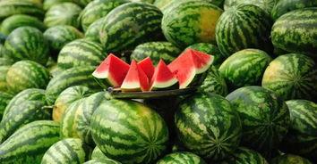 天津美院小网红吃瓜休学,揭秘校园背后的风云涌动