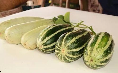 网红各类吃瓜视频网站,揭秘各大视频网站热门吃瓜内容