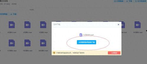免费吃瓜链接网盘下载,轻松获取热门资源，畅享娱乐盛宴