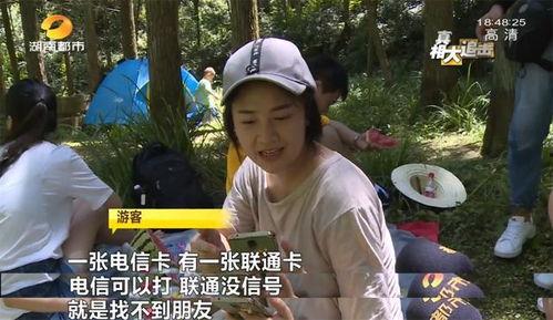 抖音成县网红吃瓜,一场别开生面的“吃瓜”之旅