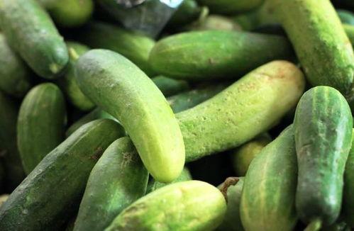 每日吃瓜反差大赛网红大赛,每日吃瓜反差大赛，网红大赛笑料横生