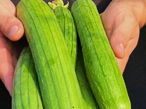 吃瓜网推荐一下,盘点那些让人欲罢不能的美食佳肴