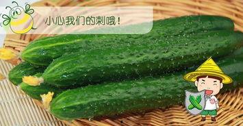 吃瓜网推荐一下,盘点那些让人欲罢不能的美食佳肴