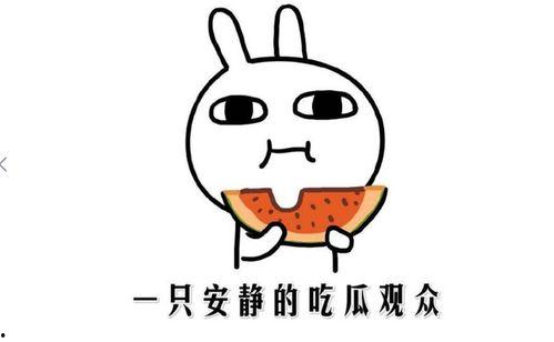 吃瓜热门事件网红是谁呀