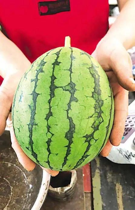 青岛吃瓜网红事件真相