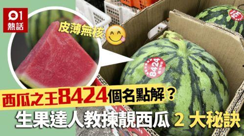 中国吃瓜论坛网站官网,揭秘网络热议背后的真相与趣味