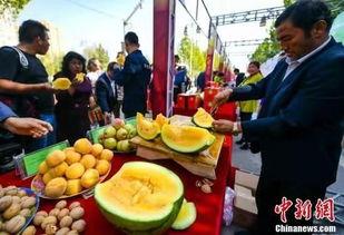 中国吃瓜论坛网站官网,揭秘网络热议背后的真相与趣味