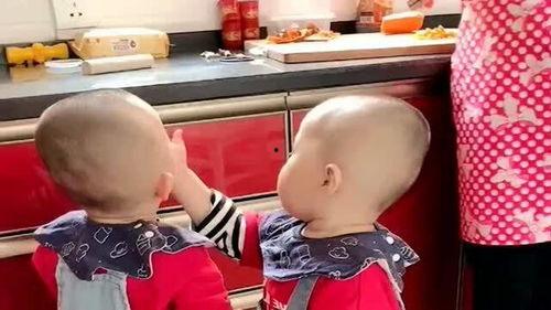 吃瓜双胞胎网红,揭秘吃瓜双胞胎网红的爆红之路