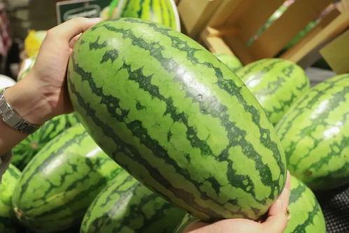 吃瓜网中心怎么打不开,揭秘故障原因及解决方法