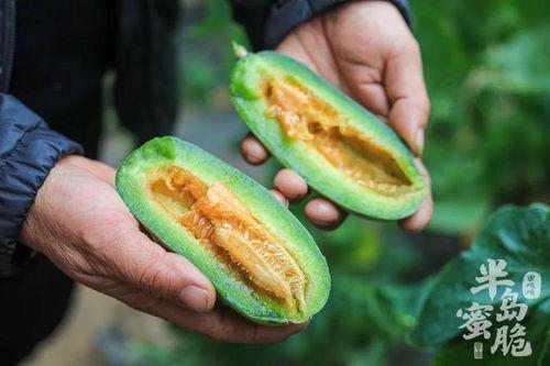 吃瓜网中心怎么打不开,揭秘故障原因及解决方法