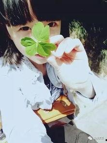 网红吃瓜的那个视频叫啥,揭秘幕后真相，带你领略网络热点背后的故事