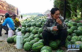 天台县网红吃瓜群微信,揭秘网络红人的幕后故事