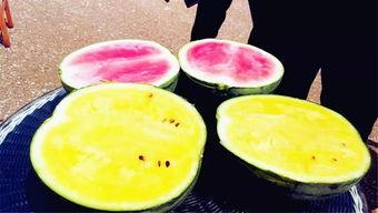 网爆热点吃瓜,揭秘吃瓜群众的狂欢盛宴