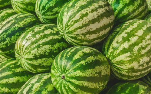 找网红搞笑吃瓜图片,笑料百出！