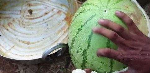 网红最新吃瓜,揭秘娱乐圈幕后真相