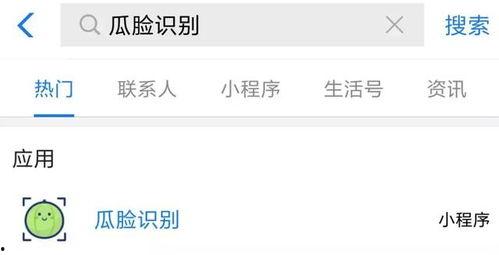 吃瓜网怎么搜索,轻松找到你感兴趣的热门话题