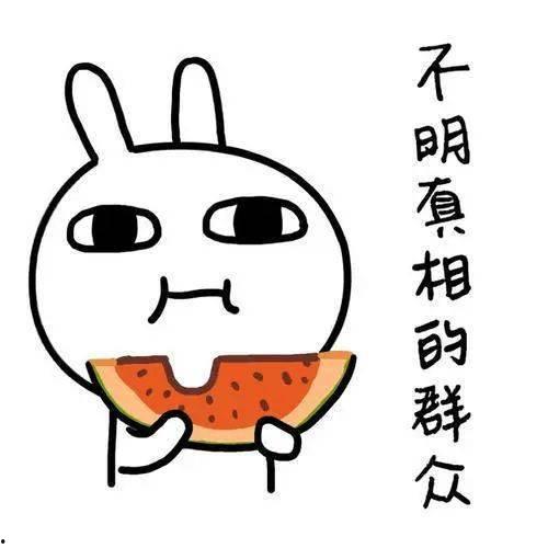 吃瓜网看什么