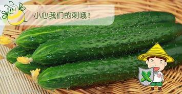 66吃瓜网免费吃瓜,免费吃瓜，畅享娱乐盛宴