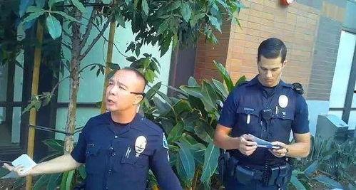 网红警察视频吃瓜,揭秘网络热点背后的真相