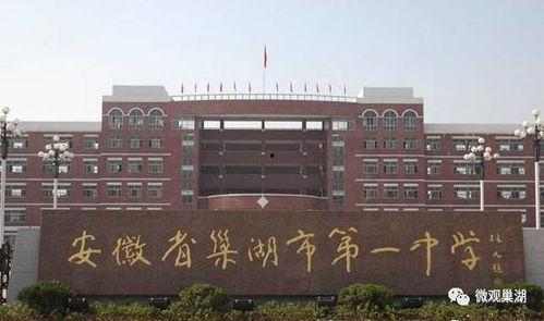 安徽巢湖一中网课吃瓜