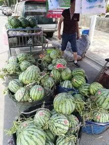 徽县吃瓜网红事件视频最新,揭秘网络舆论漩涡中的真相与争议