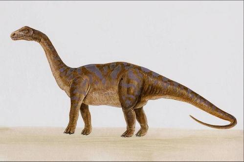 网红吃瓜恐龙图片大全,网红吃瓜恐龙萌态大盘点