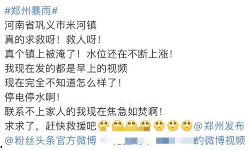 吃瓜被网暴小说,一场吃瓜引发的网暴风波