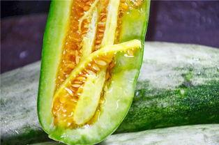 吃瓜都是哪个网红