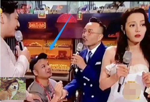 吃瓜追剧小分队网红视频,网红视频带你领略热门剧集魅力