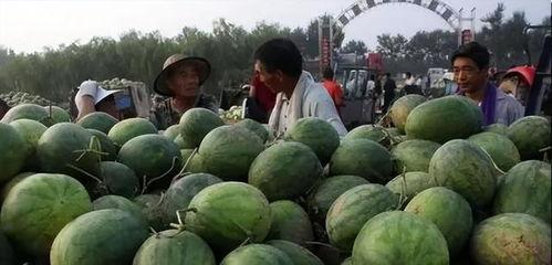 韩网热议吃瓜,揭秘娱乐圈最新“吃瓜”事件背后的真相