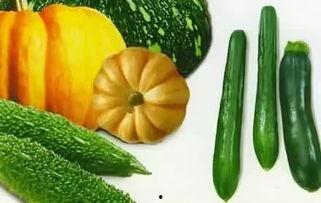 吃瓜网最新官网,热门资讯一网打尽，带你畅游娱乐世界