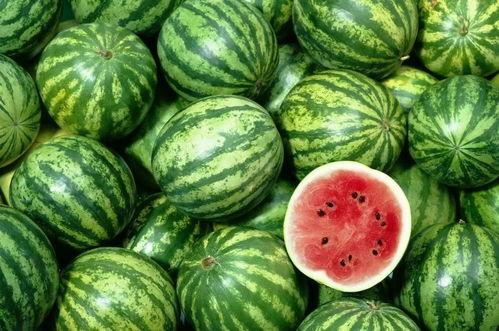 51cg更新最快最全吃瓜网,吃瓜网最新资讯全解析