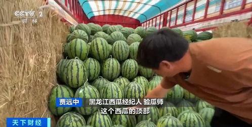 52吃瓜网官网入口,独家入口带你畅游娱乐圈风云