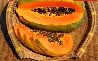 52吃瓜网官网入口,独家入口带你畅游娱乐圈风云