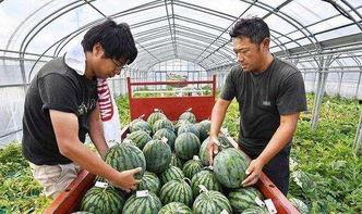 中国网红吃瓜被老板打,老板怒打网红，背后真相引人深思