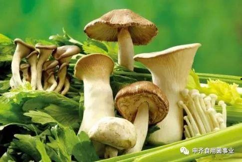蘑菇吃瓜官网黑料爆料正好进入,真相背后的惊人内幕