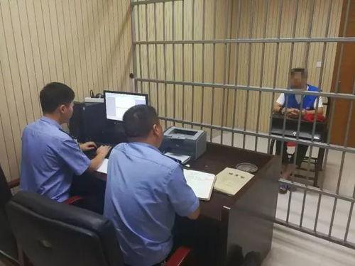 潍坊伊利张晨阳吃瓜网