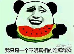 内涵吃瓜网地址,网络热点的幕后故事
