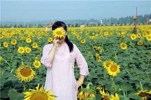 韩城吃瓜男网红抖音是谁